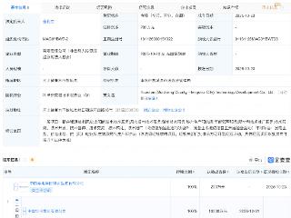 中国华电集团在衡水新设科技发展公司