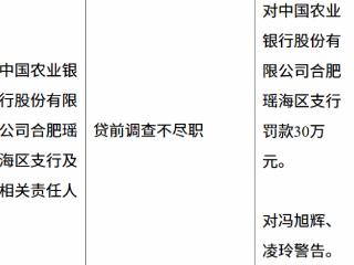 农业银行合肥瑶海支行贷前调查不尽职被罚款30万元