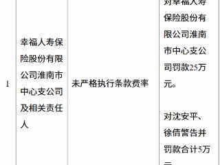幸福人寿淮南支公司未严格执行条款费率 被罚25万元