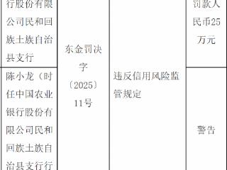 农业银行民和回族土族自治县支行因违反信用风险监管规定被罚款人民币25万元