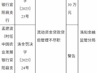 中国农业发展银行宜阳县支行因流动资金贷款贷后管理不尽职被罚款30万元