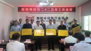 平安产险南阳中支荣获南阳市2024年行业工作先进单位称号
