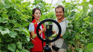 青县烟草专卖局(营销部)直播助农,激活乡村振兴“新引擎”