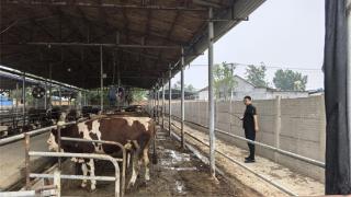 阳信县流坡坞镇:加强瘦肉精普检 守护群众食品安全