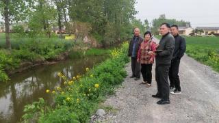 金湖县戴楼街道衡阳村:“码”上议破解灌溉梗阻 千亩良田畅饮“及时水”