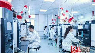 石家庄市规上工业企业量质齐升的背后