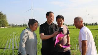 科技助农 睢宁县魏集镇奏响田间“夏管交响曲”