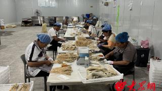 鄄城:政银担合力“贷”动 300万资金注入肉牛产业新动能