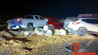 烟台蓬莱医师南阳高速救人:异地施援手,医者仁心无疆界