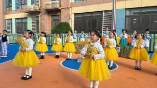 每一粒米 都藏着一个秋天的故事 济南历下一幼开展世界粮食日系列活动