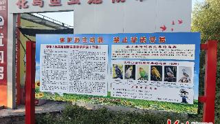 唐山市自然资源和规划局织密陆生野生动物保护网