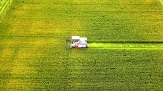 秋粮抢收保归仓