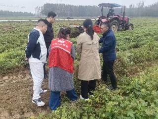 秋粮受损,农险咋赔?解答来了