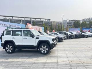 绿色动能助振兴!2025山东新能源汽车下乡活动烟台龙口站开幕