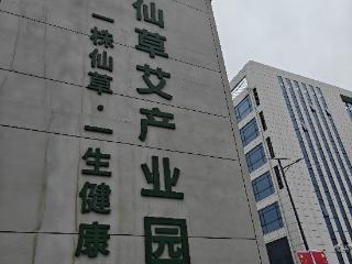 艾满宛城、辛夷芬芳 产业兴旺赓续仲景之光丨中意中国 一草一世界