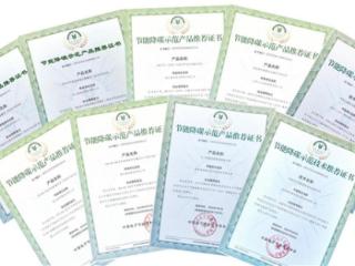 电机能效提升领域再添标杆!25 项产品 / 技术入选全国节能降碳示范名单