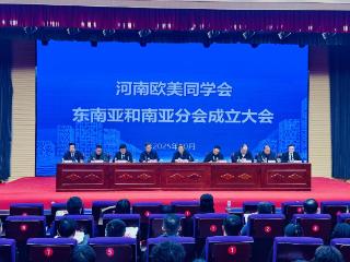 河南省欧美同学会东南亚和南亚分会成立 丁于洲分享中医药国际化传播