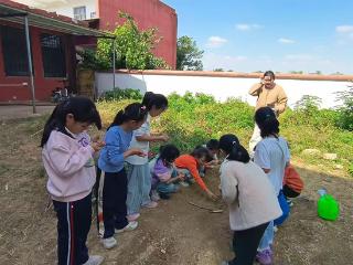 余干县古埠镇童埠小学“农耕课堂”开犁