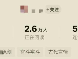 安徽34岁酒吧女老板跨行成为网文写手 更新百万字曾日入3000元