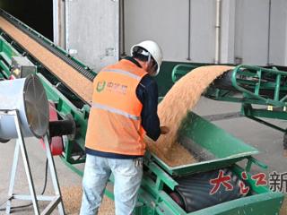 提前约 价格明 到账快