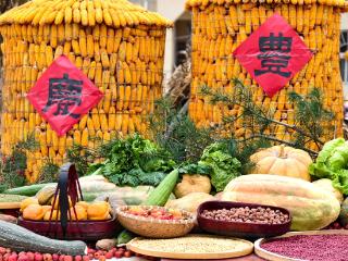 三河市举办“耕读西柳 金秋重阳丰收季”文化节