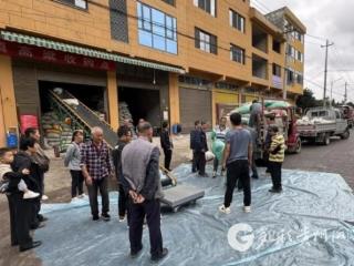 凤冈:千亩高粱映红乡村振兴路