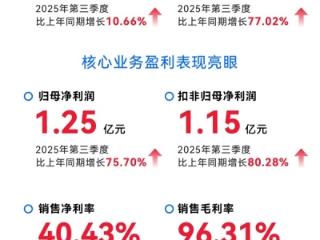 达梦数据第三季度营业收入3.07亿元,利润1.3亿元同比增77.02%
