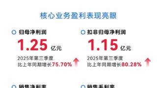 达梦数据第三季度营业收入3.07亿元,利润1.3亿元同比增77.02%