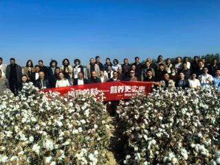 “贵州磷”助力边疆棉田致富花开