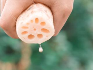 【马上见】排骨藕汤,一味乡愁