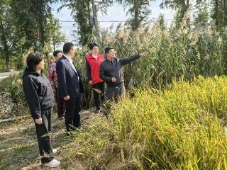 盐城亭湖人保开展“党建共建聚合力,保险气象护三农”主题党日活动