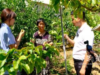 培育“技优德厚”人才 湖北建院“三维联动”破题高职物流育人