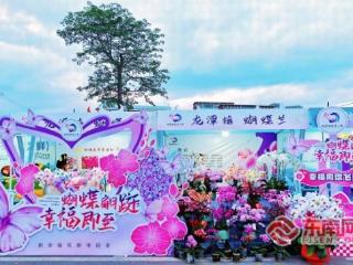 “篮”动土楼 兰香四溢——龙潭蝴蝶兰成“村BA”吸睛“流量担当”