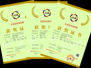 济南历下一幼“依依逐梦”啦啦队勇创佳绩 斩获省市级双冠 闪耀全国舞台