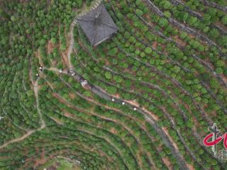 程俊韬:立足基层沃土 践行时代使命