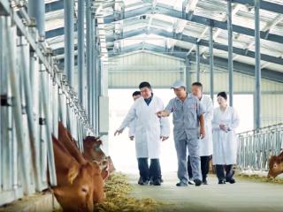 金融赋能实体经济,济宁银行勇担当重实干