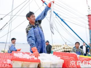 舟山带鱼消费季集中开启 市场价格上涨 京东京喜便宜15%