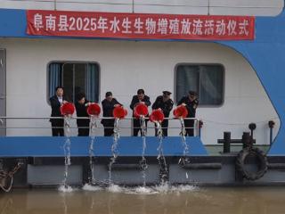 3.3万只人工繁育橄榄蛏蚌放流淮河