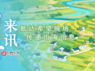 山海来讯|振动声起,金果满筐!福州油茶跳起“机械舞”