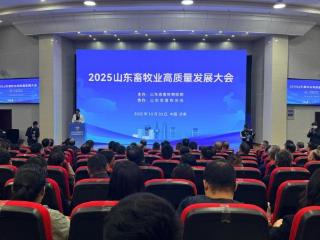 荣获七项大奖!得益乳业闪耀2025山东畜牧业高质量发展大会,彰显中国低温奶专家领军实力