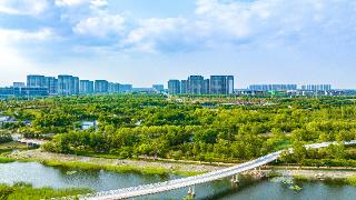 办展人,集合啦!2025中国(中原)会展主办方创新合作交流会即将启幕