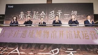 济南市历城区大辛庄遗址博物馆开馆试运营,展出文物800余件