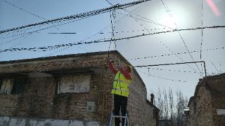 山东移动茌平分公司:整治“空中飞线”,织密乡村通信“安全网”