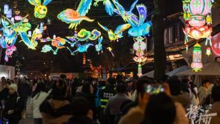 西溪湿地新春灯会赏灯最新提醒来了