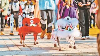 【网络中国节·春节】金沙书院:传统年俗与现代科技碰撞交融