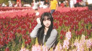 【网络中国节·春节】翔安香山:金鱼草花海迎来盛花期 三色花带扮靓新春