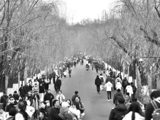“春姑娘”提前登场 未来十天阴雨常驻