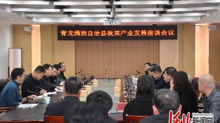 青龙:以“头脑风暴”美“栗”起跑