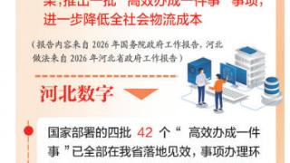 河北代表委员议国是·特别关注|“高效办成一件事”,如何跑出服务加速度