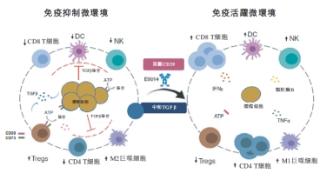 科望医药ES014获FDA孤儿药资格 硬纤维瘤治疗迎来全球首创疗法新突破